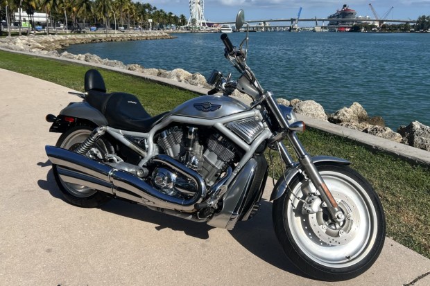 No Reserve: 2003 Harley-Davidson V-Rod 100th Anniversary