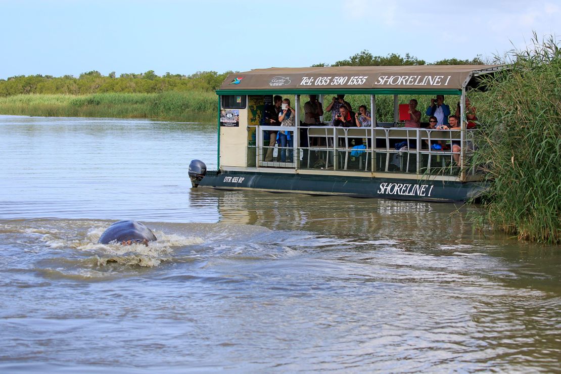 This tourist boat observes hippos in Isimangaliso Wetland Park in South Africa. Larger vessels can offer more protection from a sudden hippo attack.