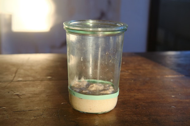 Sourdough starter in a glass jar on a table before feeding