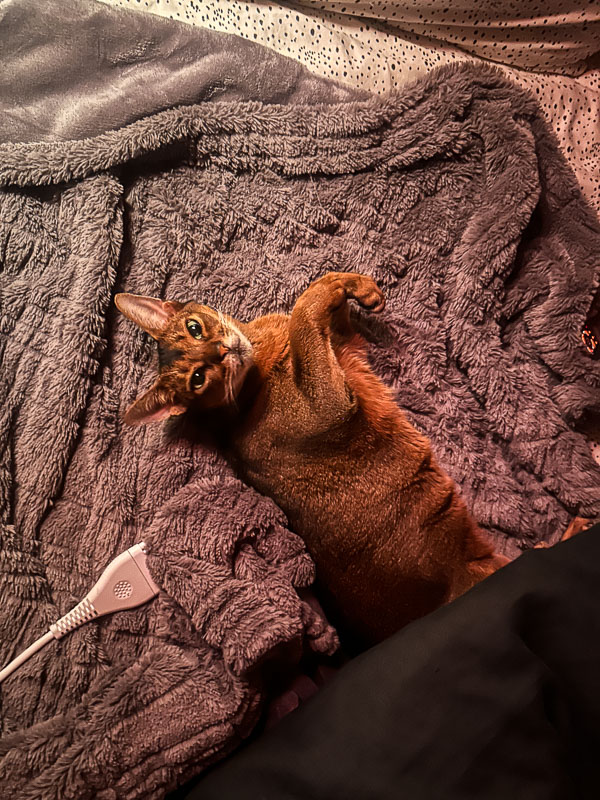 My Everyday Life Week 51 of 2025- Tracy Benjamin of Shutterbean.com