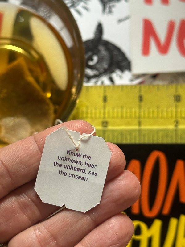 My Everyday Life Week 51 of 2025- Tracy Benjamin of Shutterbean.com