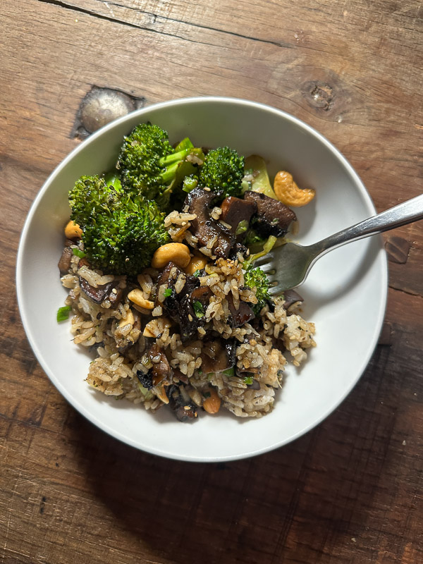 My Everyday Life Week 51 of 2025- Tracy Benjamin of Shutterbean.com