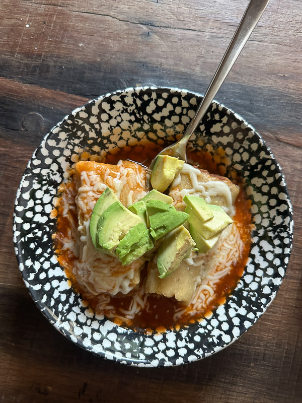 My Everyday Life Week 51 of 2025- Tracy Benjamin of Shutterbean.com