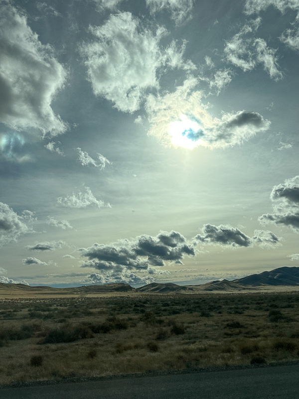 My Everyday Life Week 51 of 2025- Tracy Benjamin of Shutterbean.com