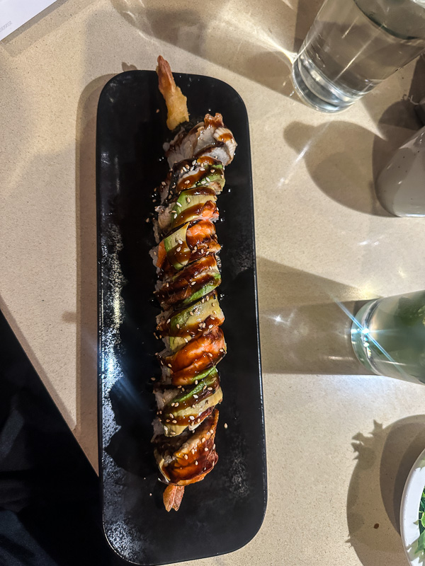 My Everyday Life Week 51 of 2025- Tracy Benjamin of Shutterbean.com