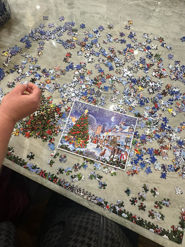 My Everyday Life Week 51 of 2025- Tracy Benjamin of Shutterbean.com