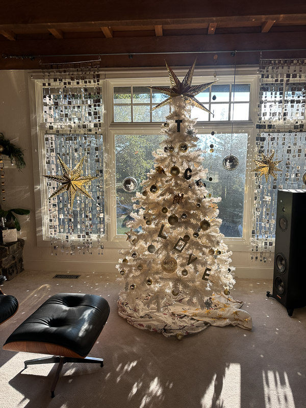 My Everyday Life Week 51 of 2025- Tracy Benjamin of Shutterbean.com